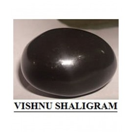 DEV RATNA KENDRA VISHNU SHALIGRAM DEV RATNA KENDRA VISHNU SHALIGRAM