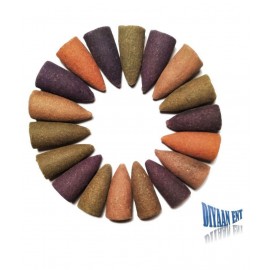 DIYAAN ENT SMOKE BACKFLOW CONE Multicolour Wood Smoke Backflow - Pack of 30