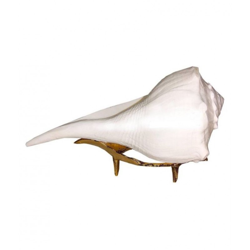 Dakshinavarti Shankh with Brass Stand