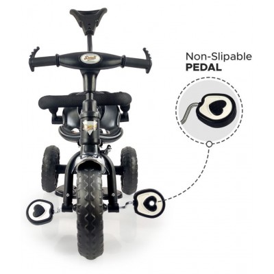 Dash Micro Tricycle with Parental Handle, Sipper, Comfortable seat Safety Harness and Footrest,, Helps to Learn Riding for Kids, Capacity 25 Kg (2+ Years, Black)