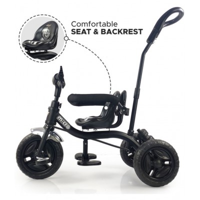 Dash Micro Tricycle with Parental Handle, Sipper, Comfortable seat Safety Harness and Footrest,, Helps to Learn Riding for Kids, Capacity 25 Kg (2+ Years, Black)