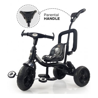 Dash Micro Tricycle with Parental Handle, Sipper, Comfortable seat Safety Harness and Footrest,, Helps to Learn Riding for Kids, Capacity 25 Kg (2+ Years, Black)