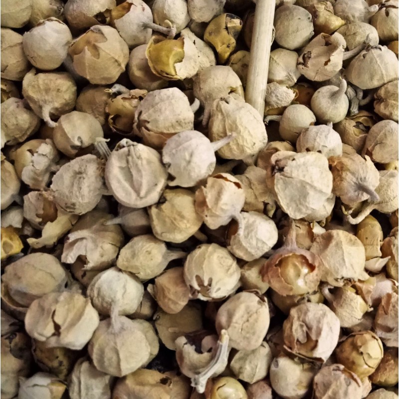 Desiilaaz पनीर फूल / PANEER PHOOL / PANEER DODI Tablet 400 gm Pack Of 1