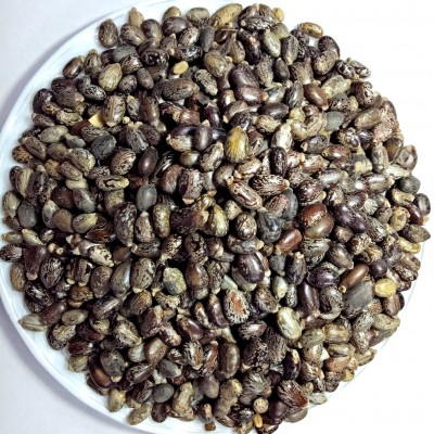Desiilaaz अरंडी के बीज/ARANDI or CASTOR SEEDS Capsule 1 kg Pack Of 1