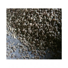 Desiilaaz AJAMODA / APIUM GRAVEOLENS / CELERY Raw Herbs 100 gm Pack Of 1