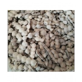 Desiilaaz BABOOL FALI / BABOOL PHALI / KIKAR PHALI Raw Herbs 500 gm Pack Of 1