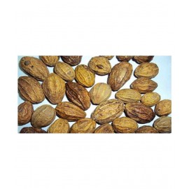 Desiilaaz BADI HARAD/TERMINALIA CHEBULA /HARAD Raw Herbs 250 gm Pack Of 1