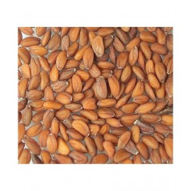 Desiilaaz CHANDRASHOOR / LEPIDIUM SATIVUM Raw Herbs 1000 gm Pack Of 1