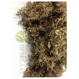 Desiilaaz DRY BRAHMI BOOTI / BACOPA MONNIERI  Raw Herbs 100 gm Pack Of 1