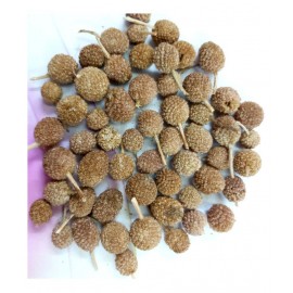 Desiilaaz GORAKHMUNDI / SPHAERANTHUS INDICUS LINN Raw Herbs 250 gm Pack Of 1