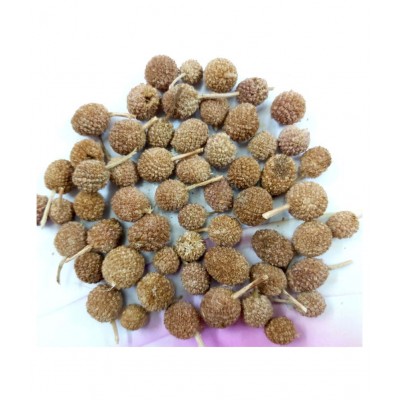 Desiilaaz GORAKHMUNDI / SPHAERANTHUS INDICUS LINN Raw Herbs 500 gm Pack Of 1