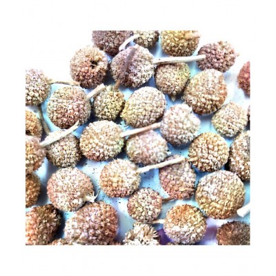 Desiilaaz GORAKHMUNDI / SPHAERANTHUS INDICUS LINN Raw Herbs 500 gm Pack Of 1