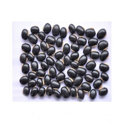 Desiilaaz KAUNCH BEEJ/MUCUNA PRURIENSKAUNCH SEEDS Raw Herbs 200 gm Pack Of 1