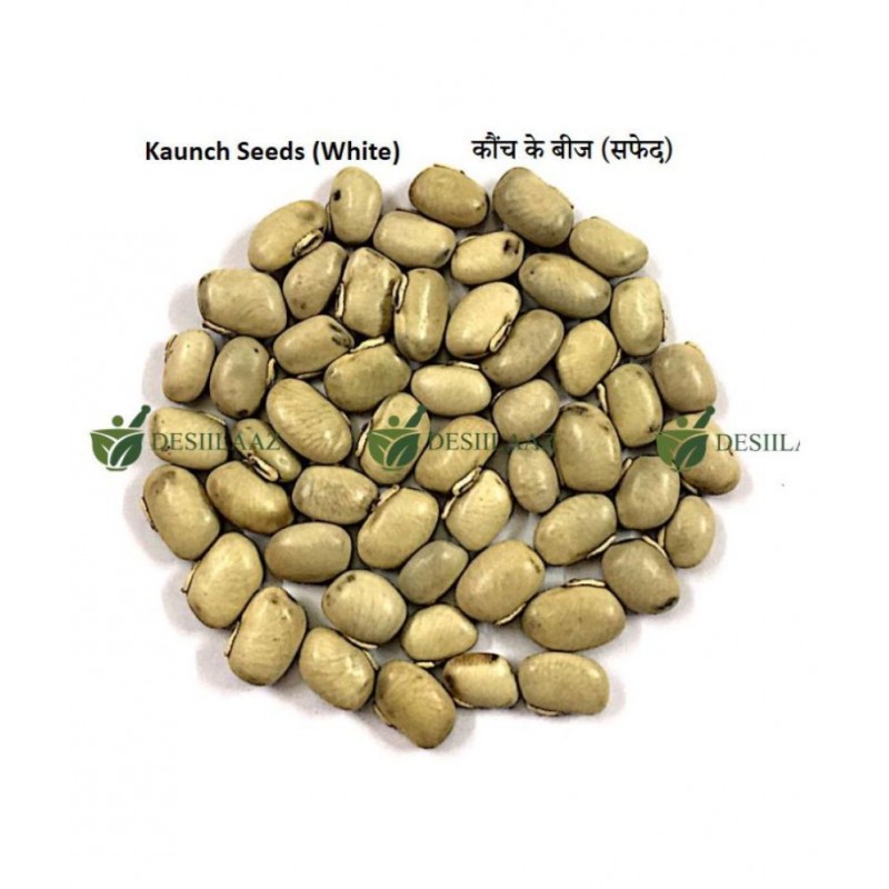 Desiilaaz KAUNCH BEEJ/MUCUNA PRURIENS/KAUNCH SEEDS Raw Herbs 250 gm Pack Of 1