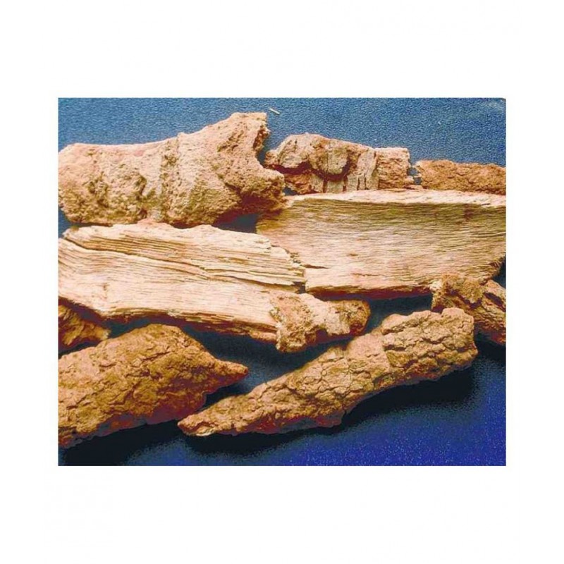 Desiilaaz LODHRA/SYMPLOCOS RACEMOSA BARK Raw Herbs 250 gm Pack Of 1