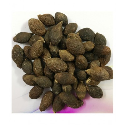 Desiilaaz NIRANJAN PHAL / STERCULIA LYCHNOPHORA Raw Herbs 50 gm Pack Of 1