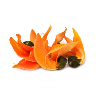 Desiilaaz TESU KE PHOOL / FLOWER OF PALASH Raw Herbs 100 gm Pack Of 1