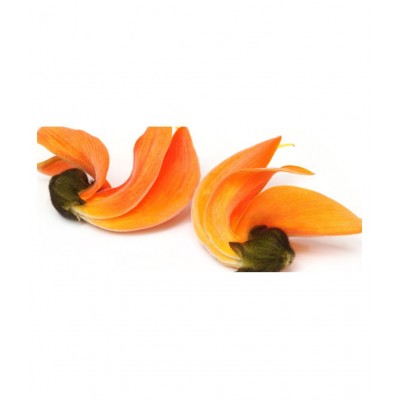 Desiilaaz TESU KE PHOOL / FLOWER OF PALASH Raw Herbs 400 gm Pack Of 1