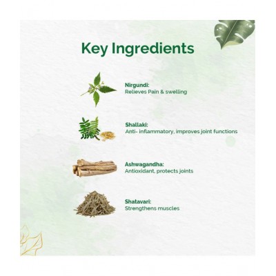 Dr Vaidyas - Oil For Body Ache ( Pack of 1 ) Dr Vaidyas - Oil For Body Ache ( Pack of 1 )