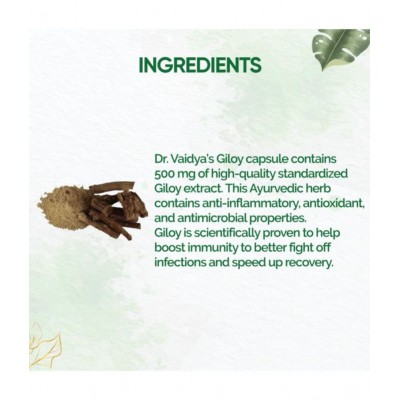 Dr Vaidyas GILOY CAPSULES Capsule 60 no.s Pack Of 2