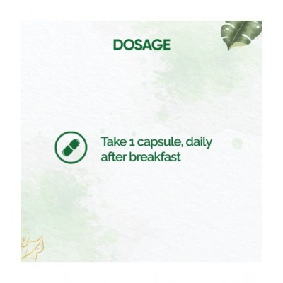 Dr Vaidyas GILOY CAPSULES Capsule 60 no.s Pack Of 2