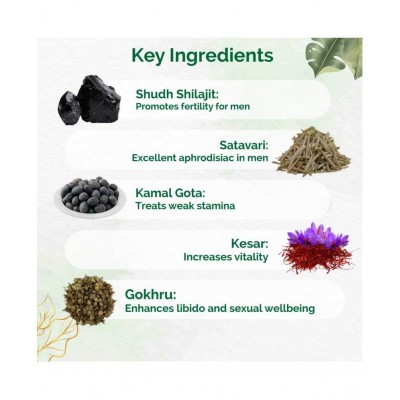 Dr Vaidya's Herbo24Turbo | Ayurvedic Shilajit Vitalizer | Male Sexual Wellness Capsules | Pack of 3 (30 Capsules Each) Dr Vaidya's Herbo24Turbo | Ayurvedic Shilajit Vitalizer | Male Sexual Wellness Capsules | Pack of 3 (30 Capsules Each)