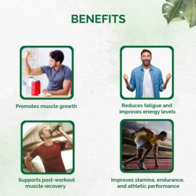 Dr Vaidya's Herbobuild | Ayurvedic Muscle Gain Capsules | No Side Effects | Pack Of 1 (30 Capsules)