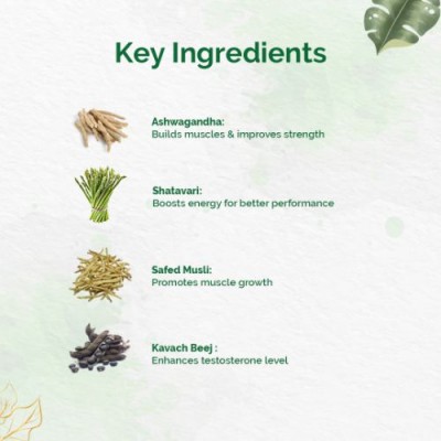 Dr Vaidya's Herbobuild | Ayurvedic Muscle Gain Capsules | No Side Effects | Pack Of 1 (30 Capsules)