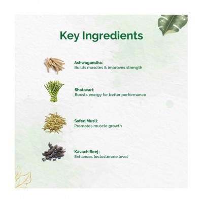 Dr Vaidyas Herbobuild Ayurvedic for Muscle Gain Capsule 150 no.s Pack of 3