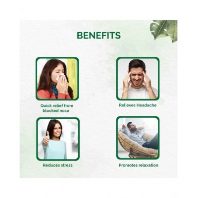 Dr Vaidyas Inhalant For Nasal Congestion Powder 20 gm Pack Of 2