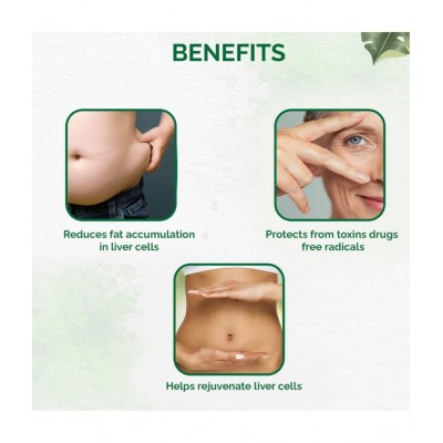 Dr Vaidyas Liver Care Capsule 90 no.s Pack of 3