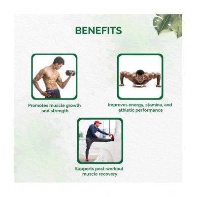 Dr Vaidyas Muscle Builder Pack Capsule 60 no.s