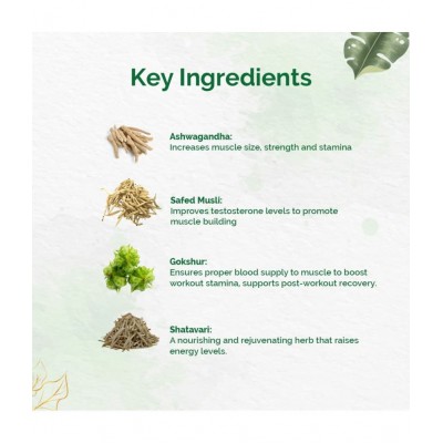 Dr Vaidyas Muscle Builder Pack Capsule 60 no.s