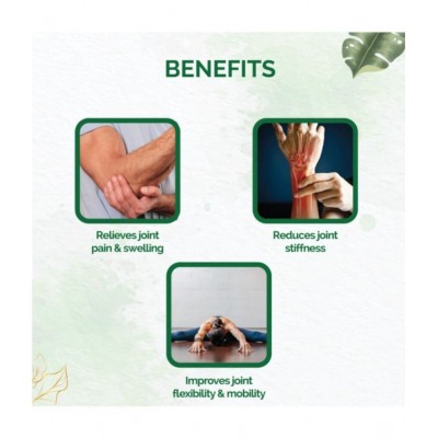 Dr Vaidyas PAIN RELIEF CAPSULES Capsule 60 no.s Pack Of 2