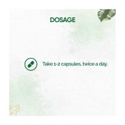 Dr Vaidyas PAIN RELIEF CAPSULES Capsule 60 no.s Pack Of 2