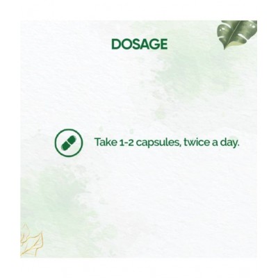 Dr Vaidyas PAIN RELIEF CAPSULES Capsule 90 no.s Pack of 3