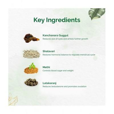 Dr Vaidyas PCOS Care Capsule 90 no.s Pack of 3