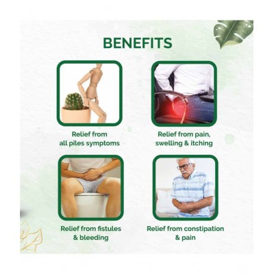 Dr Vaidyas Piles Relief Pack Capsule 90 no.s Pack Of 1