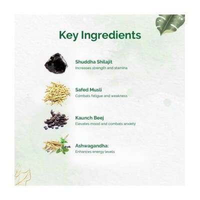 Dr Vaidyas SHILAJIT PLUS-30 CAPSULES Capsule 60 no.s Pack Of 2