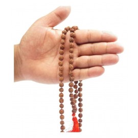 Energized Rudraksha Mala (108+1 Beads) 8mm 5 Mukhi Rudraksha Jaap Mala for Pooja, Meditation and Jaap Energized Rudraksha Mala (108+1 Beads) 8mm 5 Mukhi Rudraksha Jaap Mala for Pooja, Meditation and Jaap