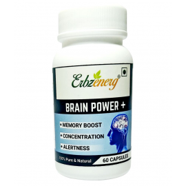 Erbzenerg Brain power capsules 500 mg