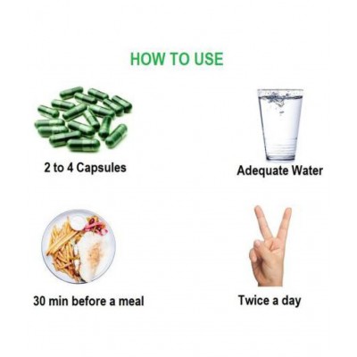 Erbzenerg Nilavembu (Andrographis paniculata) Kalamegha 60 Capsule 500 mg