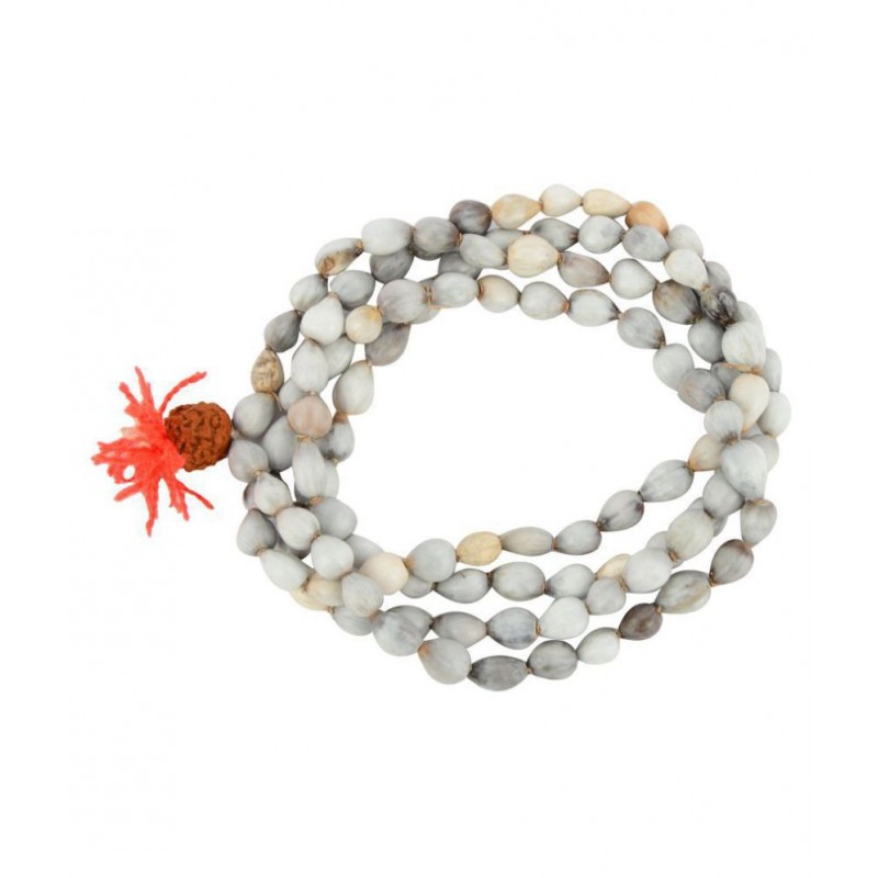 Ever Forever Genuine Vaijayanti Mala with Rudraksha Bead for Vashikaran, Attraction, Devi Siddhi, Shree Krishna Pooja