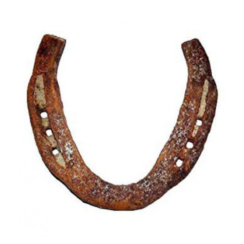 Ever Forever Iron Horse Shoe/Kale Ghode Ki Naal (Black)