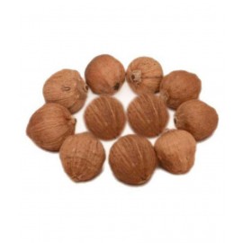 Ever Forever Laghu Nariyal/Shreephal / Mini Coconut Set Of 11 Pcs Ever Forever Laghu Nariyal/Shreephal / Mini Coconut Set Of 11 Pcs