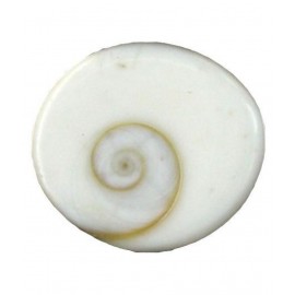 Ever Forever Very Rare Natural Big Size Gomati Chakra 3-4 Cm Approx - 1 Piece Ever Forever Very Rare Natural Big Size Gomati Chakra 3-4 Cm Approx - 1 Piece