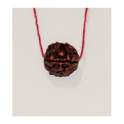 FOUR MUKHI RUDRAKSHA MALA-4 FACE- CHAAR MUKHI RUDRAKSH ORIGINAL FOUR MUKHI RUDRAKSHA MALA-4 FACE- CHAAR MUKHI RUDRAKSH ORIGINAL