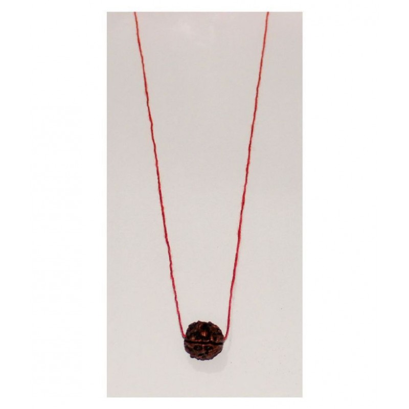 FOUR MUKHI RUDRAKSHA MALA-4 FACE- CHAAR MUKHI RUDRAKSH ORIGINAL FOUR MUKHI RUDRAKSHA MALA-4 FACE- CHAAR MUKHI RUDRAKSH ORIGINAL