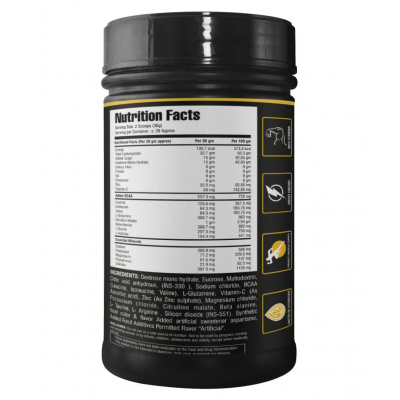 Floral Nutrition Isotonic Energy Nutritional Drink for Instant workout Energy Protein Shake Mango Energy Drink for Adult 1 kg