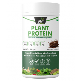 Floral Nutrition Plant Based Protein Powder 500 gm